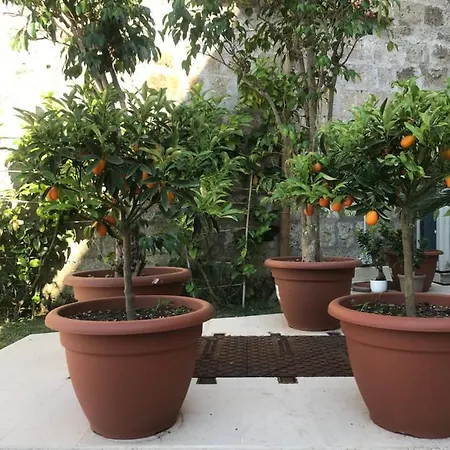 Il Cavaliere Caserta