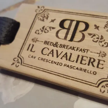 Il Cavaliere